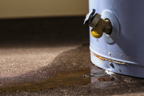 Best Sewage cleanup and water damage restoration  in San Fernando, CA