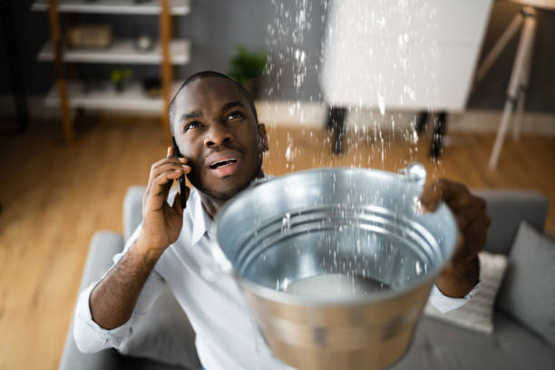Best Professional water damage repair  in San Fernando, CA