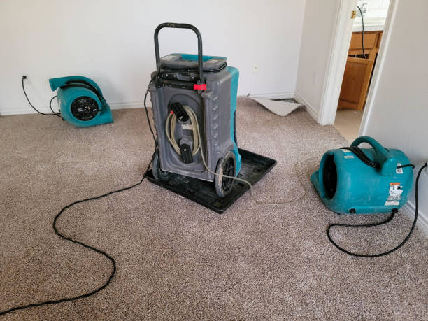  San Fernando, CA Water damage restoration Pros