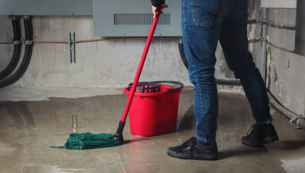 Best Mold removal after water damage  in San Fernando, CA