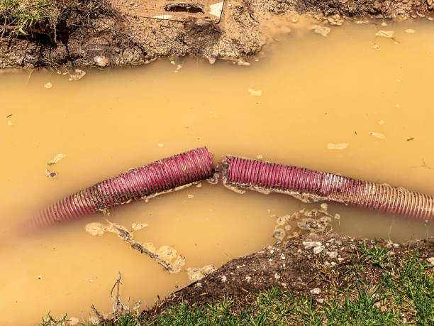 Best Basement water damage restoration  in San Fernando, CA