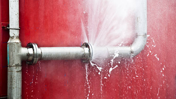 Best Water damage restoration services  in San Fernando, CA